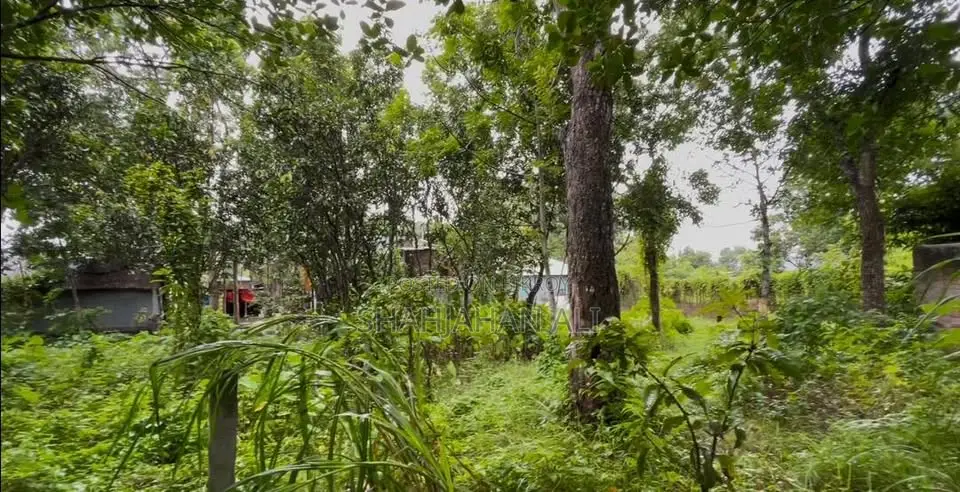 Land for sale in Singa Mouza, Pabna Sadar