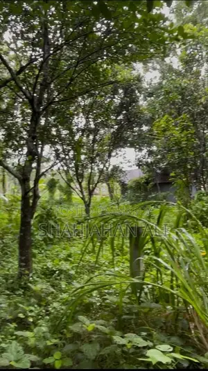 Land for sale in Singa Mouza, Pabna Sadar