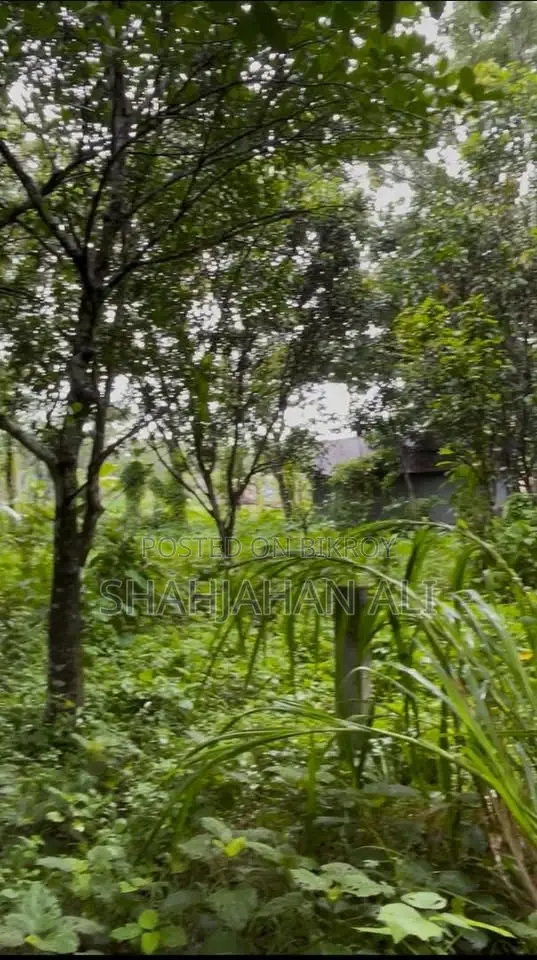 Land for sale in Singa Mouza, Pabna Sadar