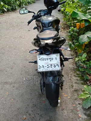 Bajaj Pulsar NS 160 2024 Silver
