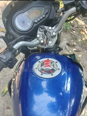 Bajaj Pulsar 150 2011 Blue