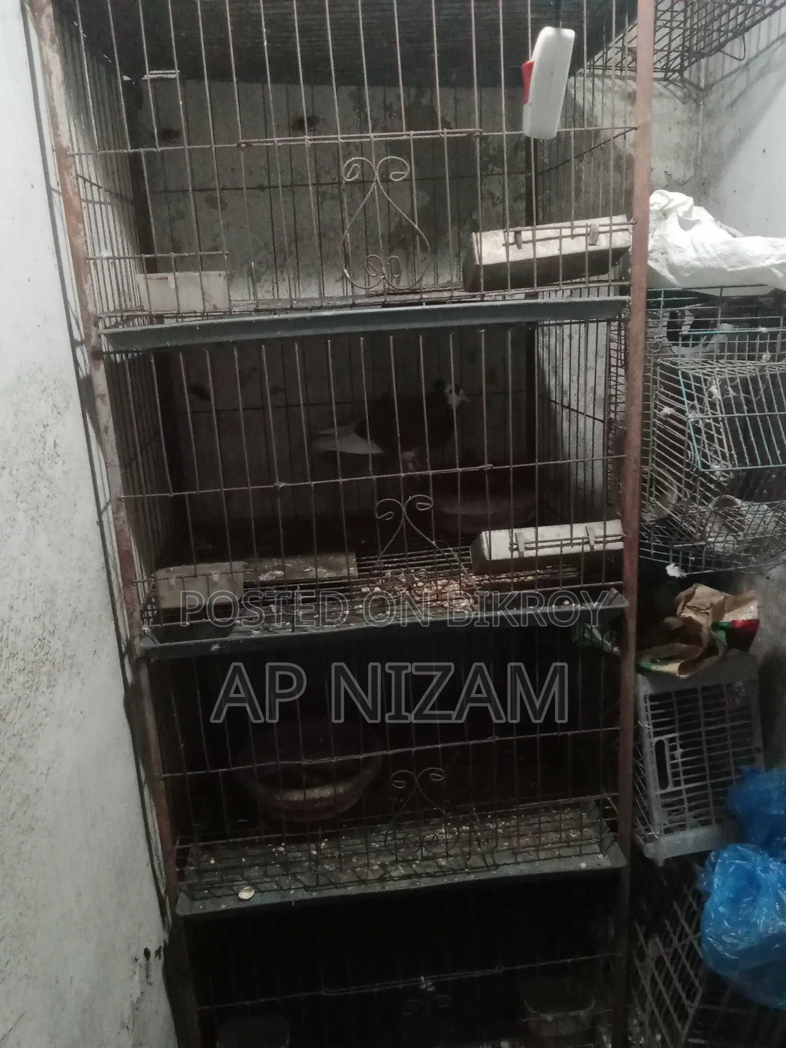Pigeon Cage With Tray