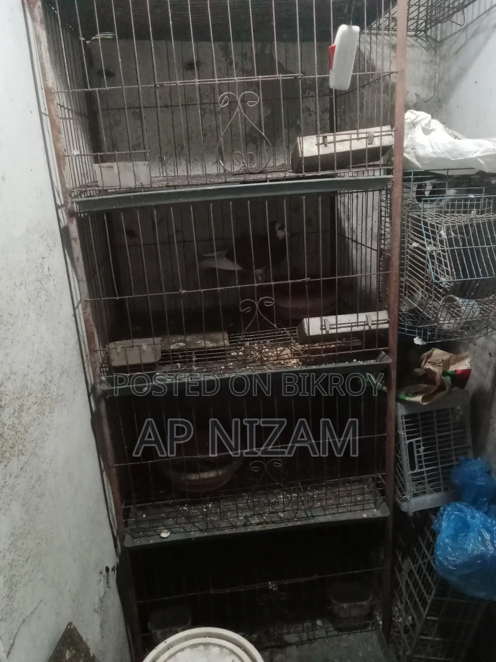 Pigeon Cage With Tray
