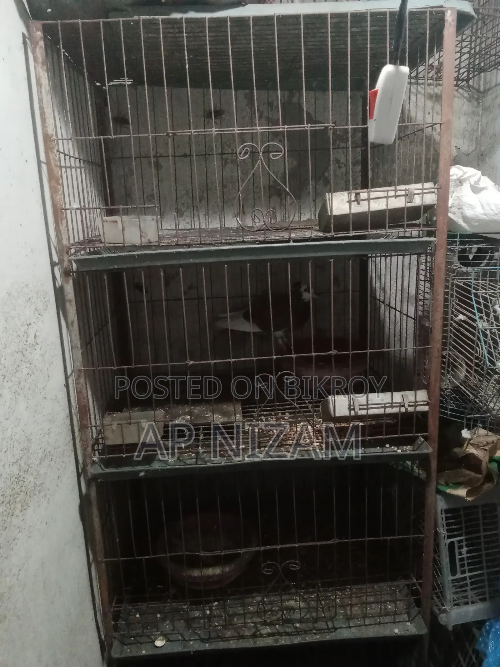 Pigeon Cage With Tray
