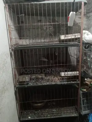 Pigeon Cage With Tray