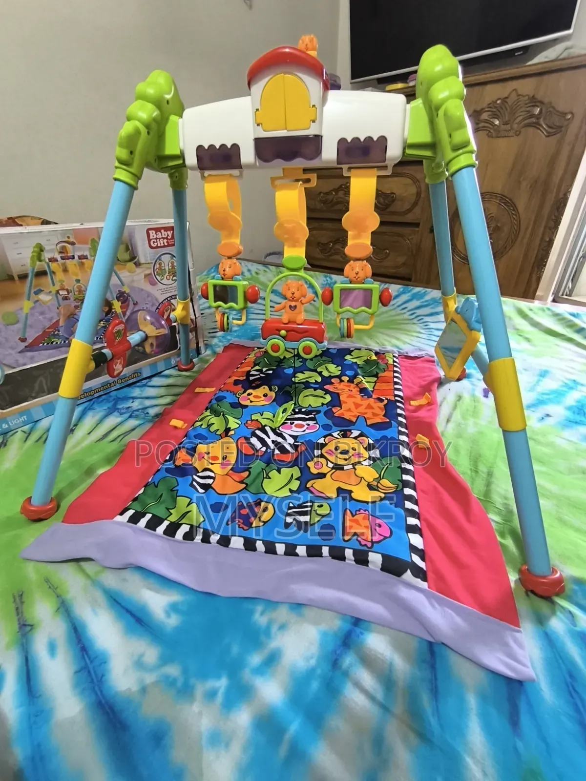 Baby Gym Mat
