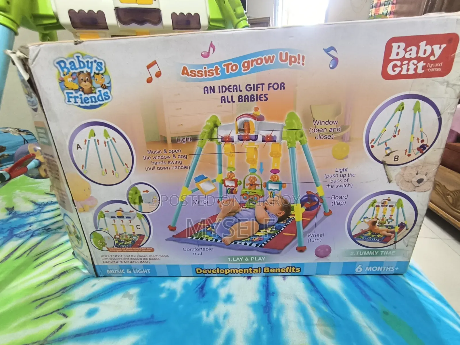 Baby Gym Mat