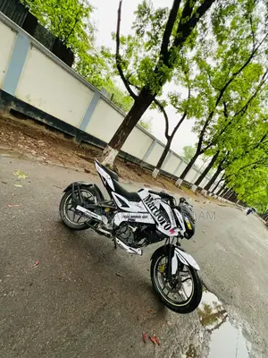 Bajaj Pulsar NS 160 2019 Gray