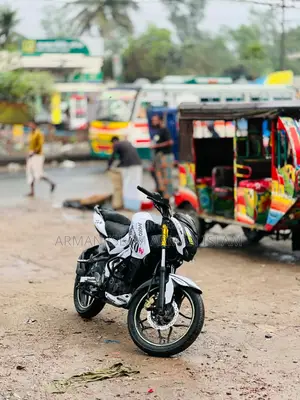 Bajaj Pulsar NS 160 2019 Gray