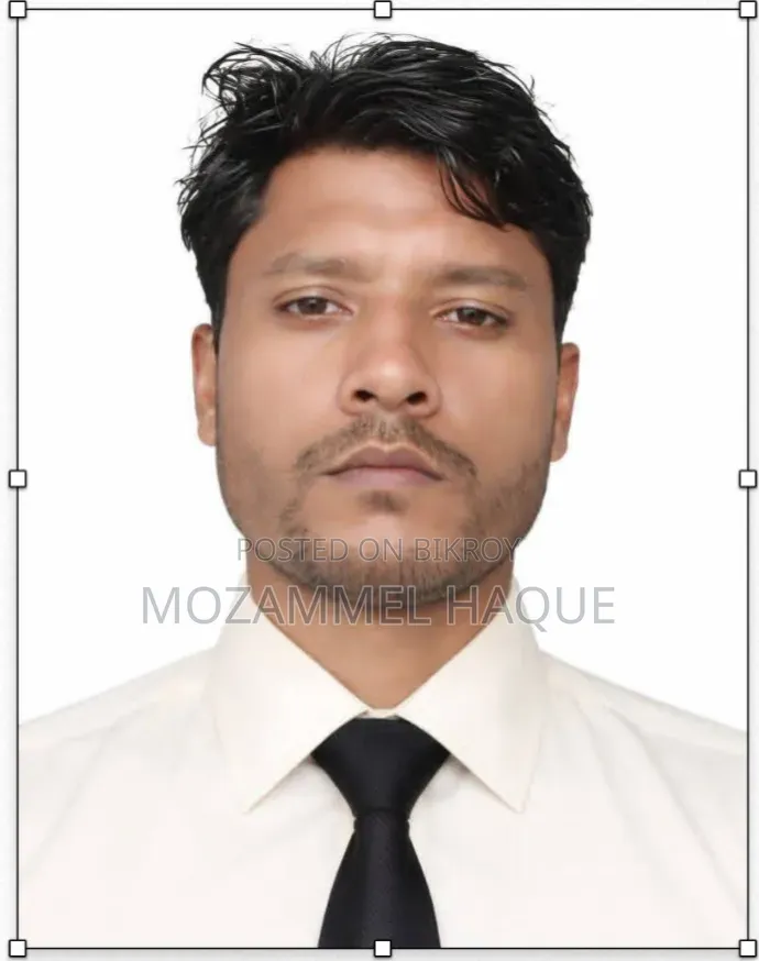 মোজাম্মেল হক