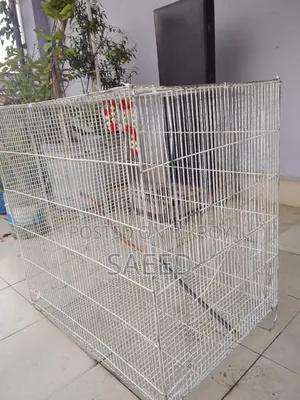 পাখির খাঁচা