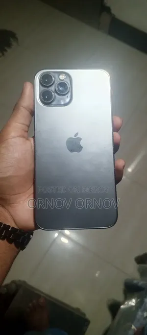 অ্যাপল আইফোন ১২ প্রো ম্যাক্স ২৫৬ জিবি সিলভার