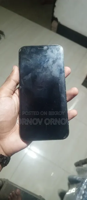Apple iPhone 12 Pro Max 256 GB Silver