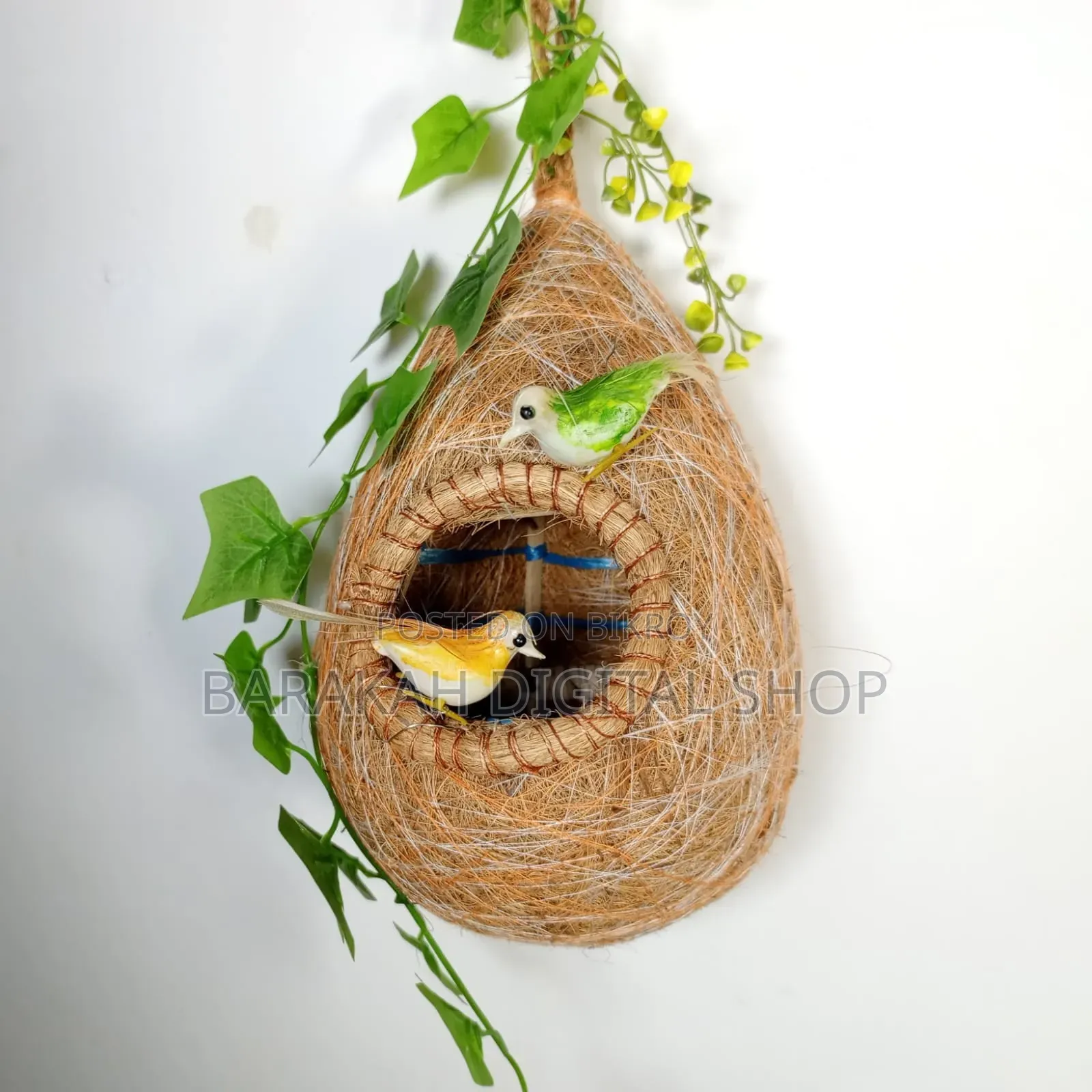 Babui Bird's Nest