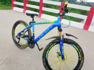 আকর্ষণীয় বাইসাইকেল