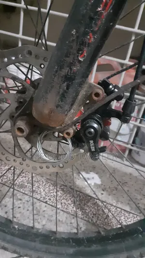 হিরো হাঙ্ক ২০২০ লাল