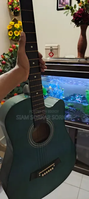গিটার সেল পোস্ট।