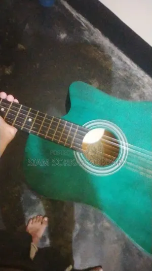 গিটার সেল পোস্ট।