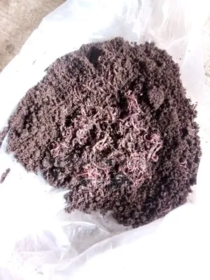 Earthworm Fertilizer / Vermicompost