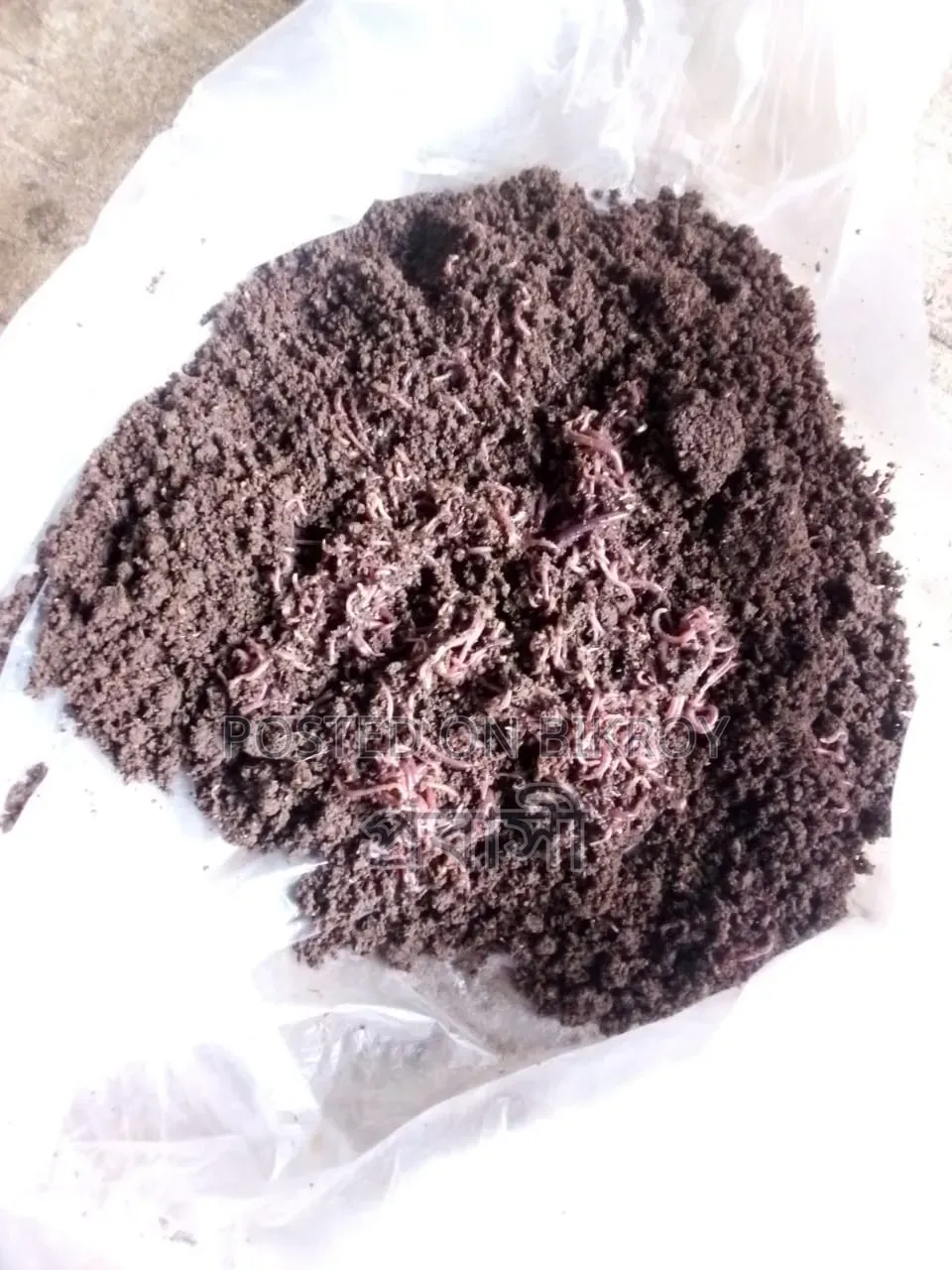 Earthworm Fertilizer / Vermicompost