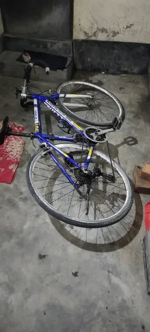 চিকন চাকা সাইকেল