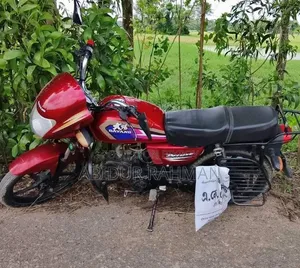 Dayang APOLLO 2022 Red