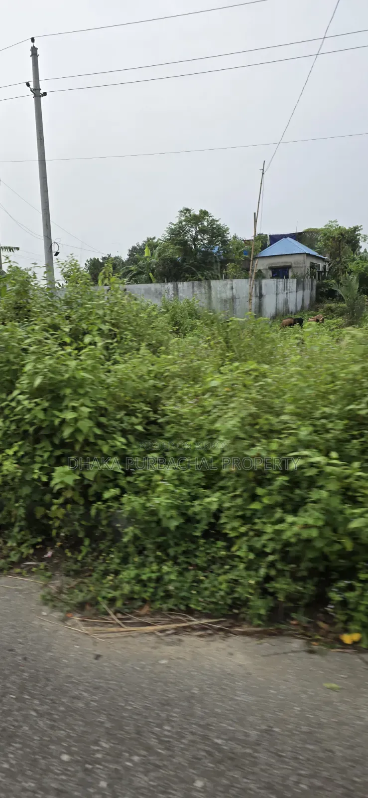 উত্তরা ৩ কাঠা বরাদ্দকৃত প্লট বিক্রয়