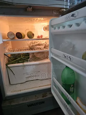 Original Older Freezer