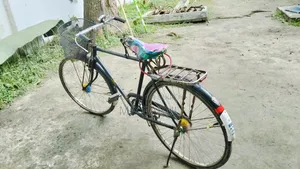 Phonix সাইকেল