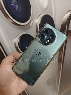 OnePlus 11 256 GB Gray