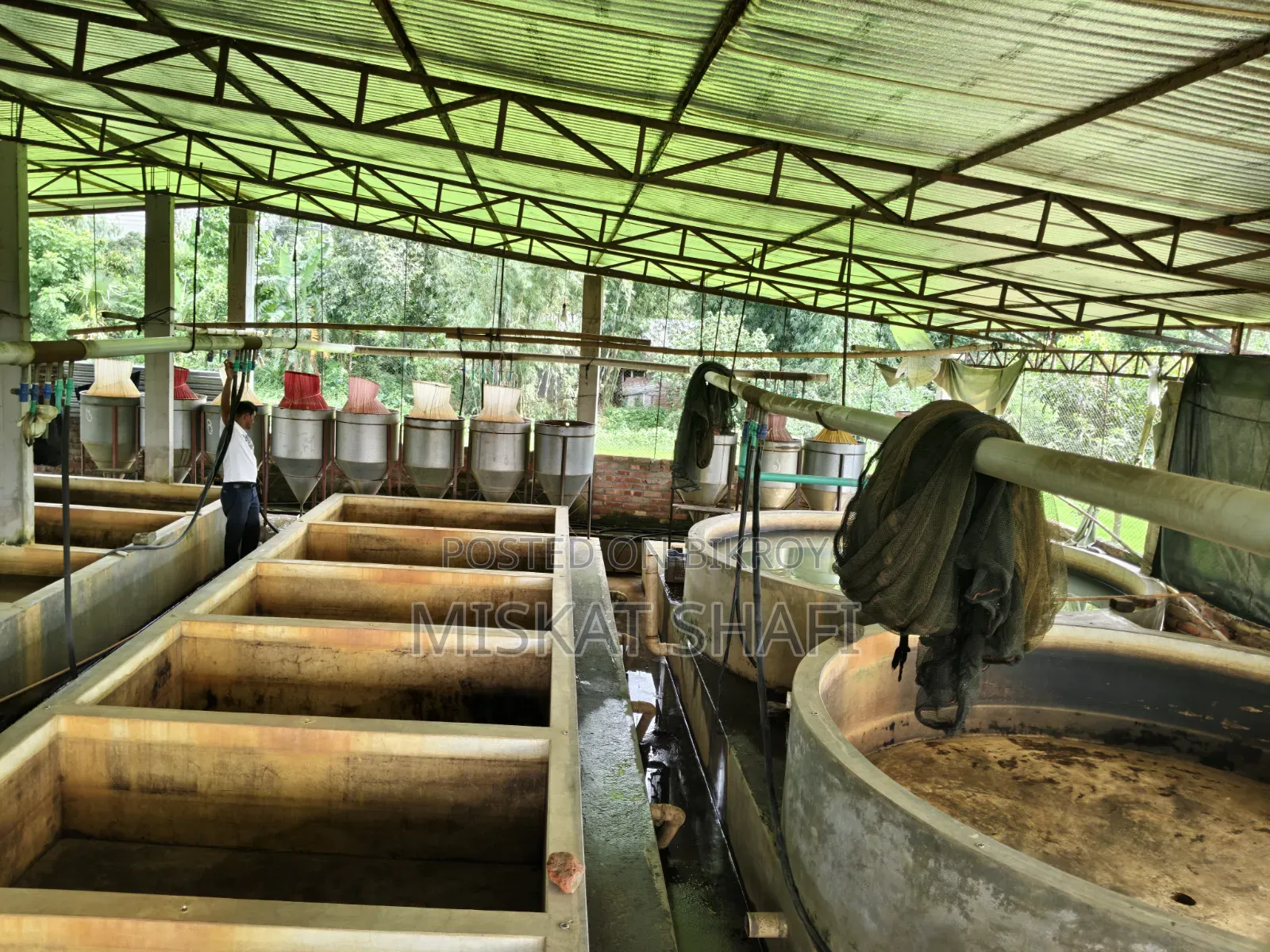 Fish Hatchery