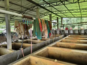 Fish Hatchery