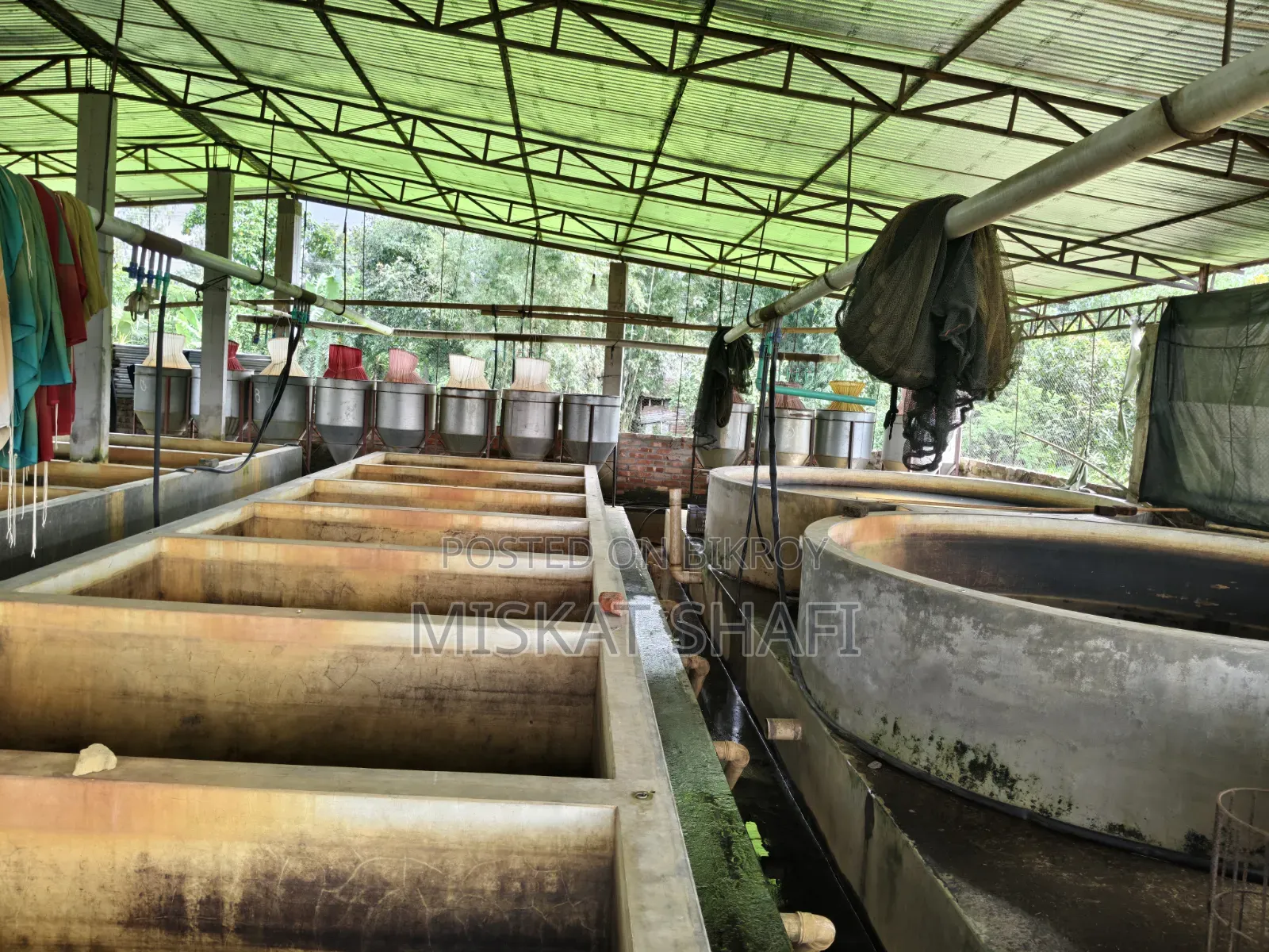 Fish Hatchery