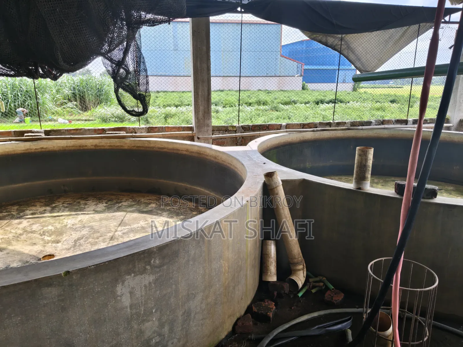 Fish Hatchery