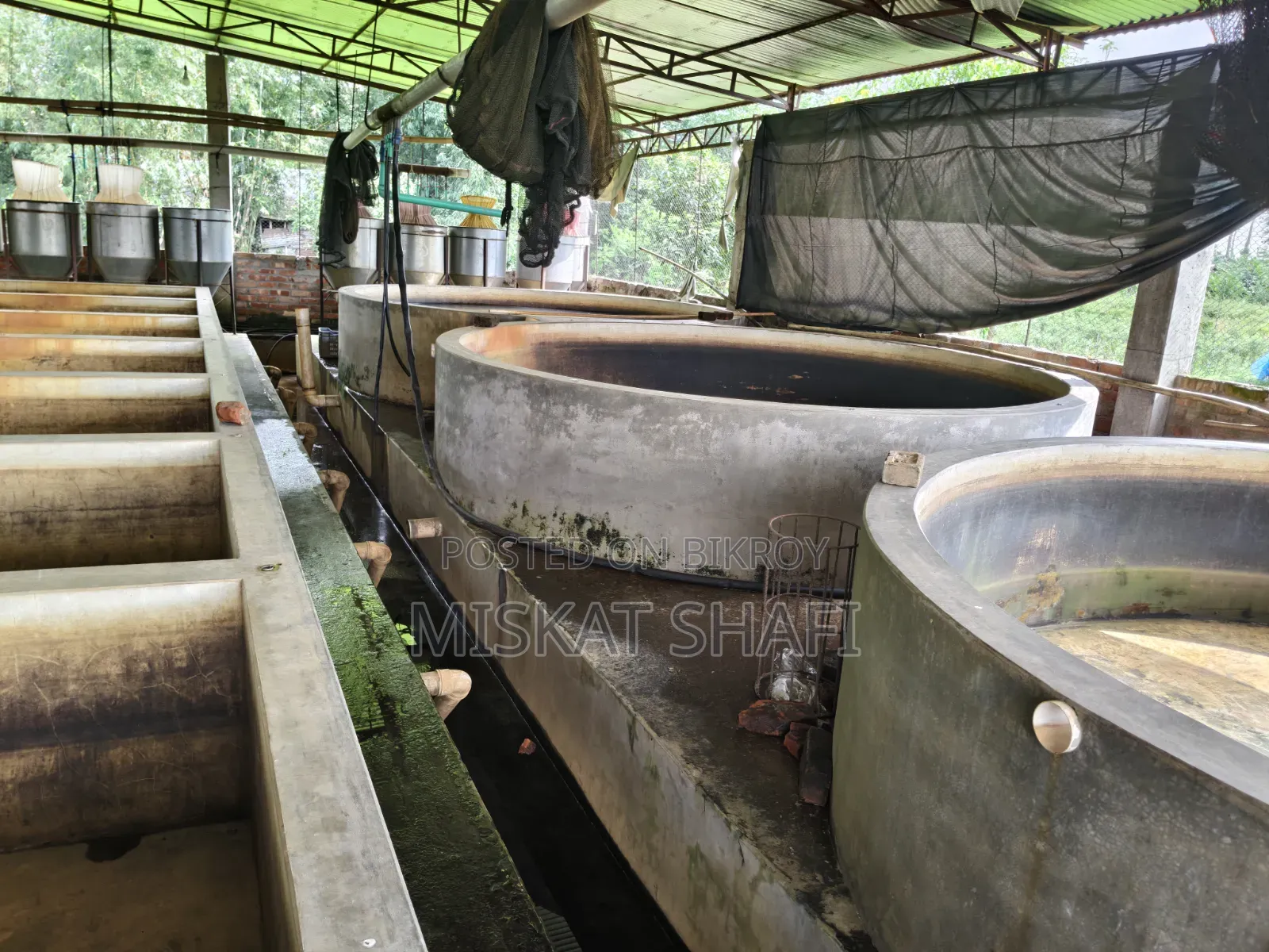 Fish Hatchery
