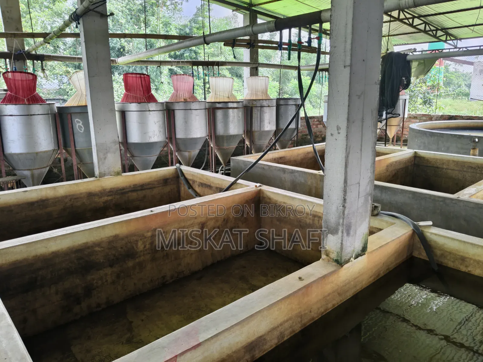 Fish Hatchery