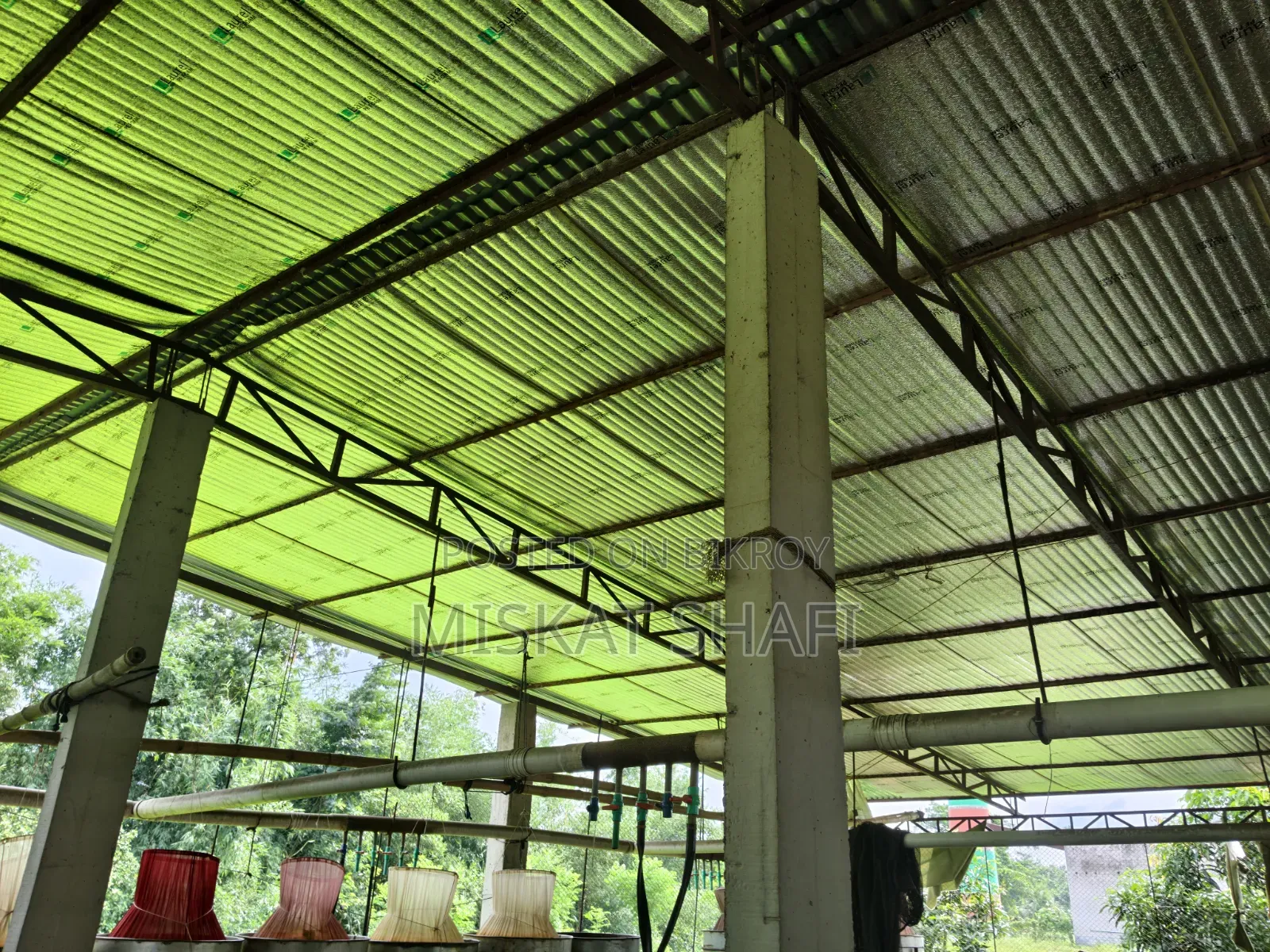 Fish Hatchery