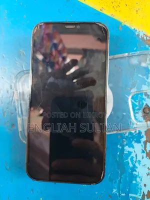 Apple iPhone 12 Pro 512 GB Gray