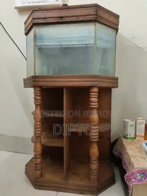 ফিশ অ্যাকুরিয়াম