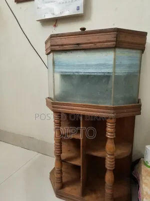ফিশ অ্যাকুরিয়াম