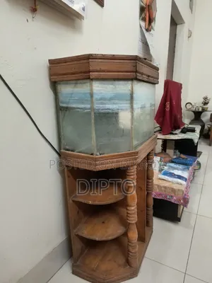 ফিশ অ্যাকুরিয়াম