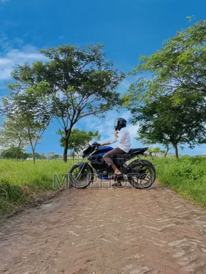 Bajaj Pulsar NS 160 2019 Blue