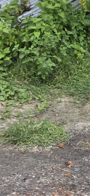 উত্তরা এইচ১, সেক্টর-১৭, বরাদ্দকৃত প্লট বিক্রি