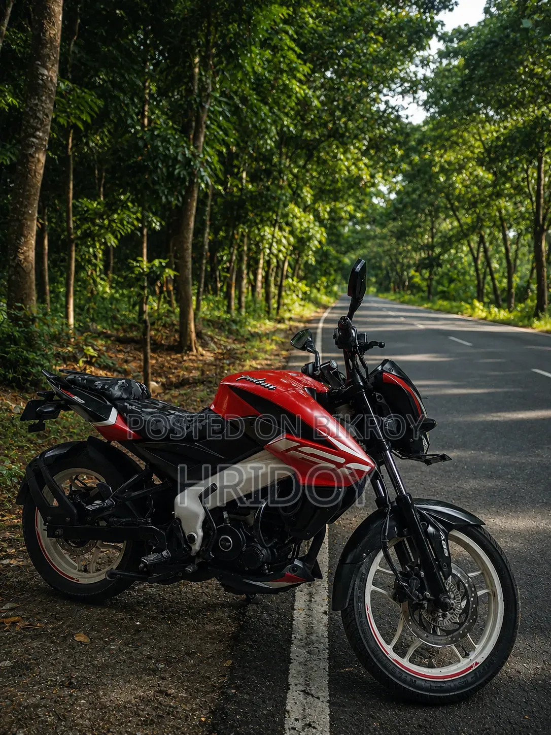 Bajaj Pulsar NS 160 2021 Red