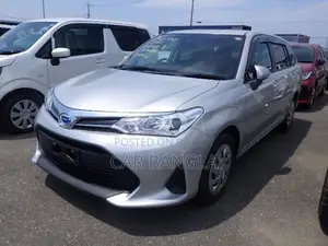 Toyota Corolla Fielder 2021 Silver