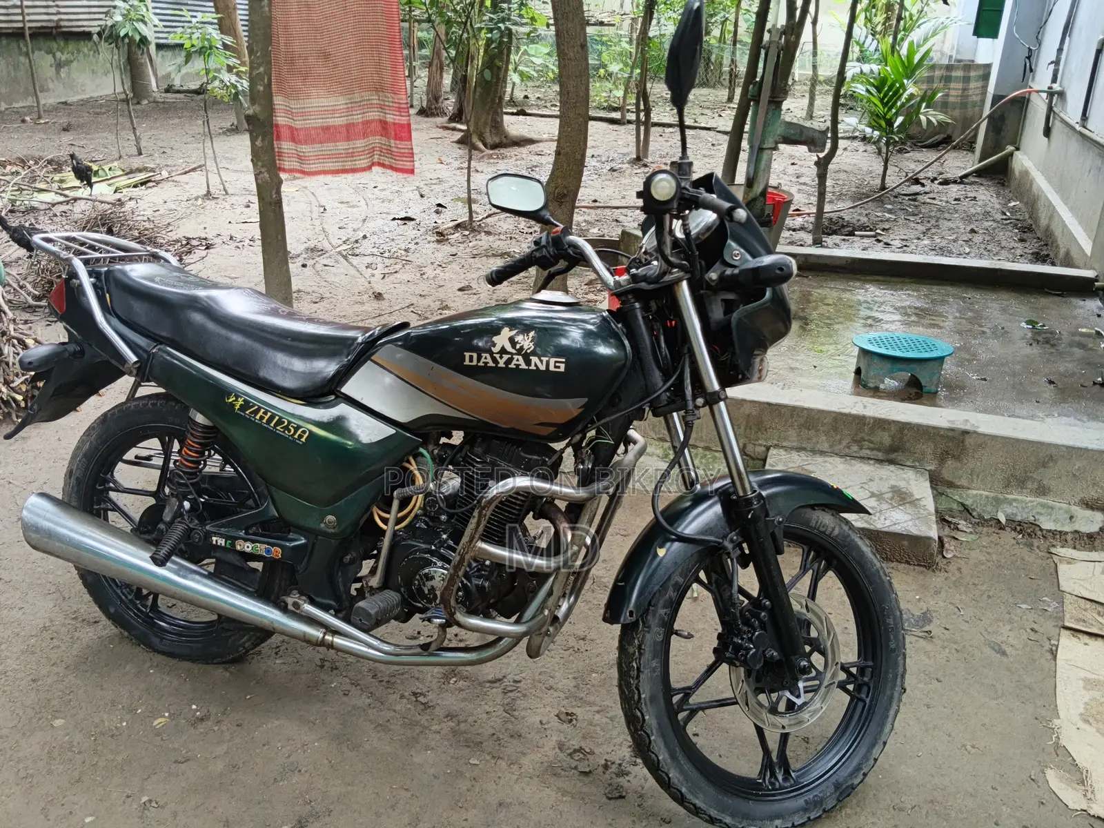 Dayang DY100T-8M 2008 Green