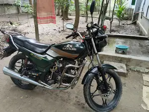 Dayang DY100T-8M 2008 Green
