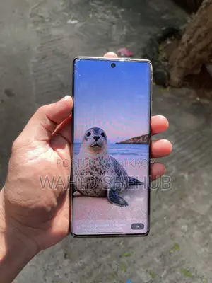 ইনফিনিক্স হট ৫০ প্রো প্লাস ৪জি ২৫৬ জিবি ধূসর