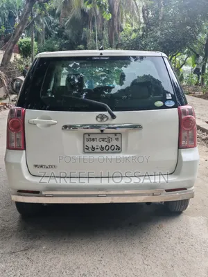 Toyota Raum 2011 Beige