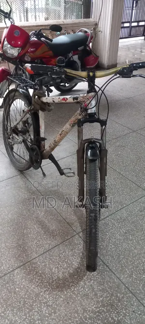 আমার টাকার প্রয়োজন তাই বেচে দিব